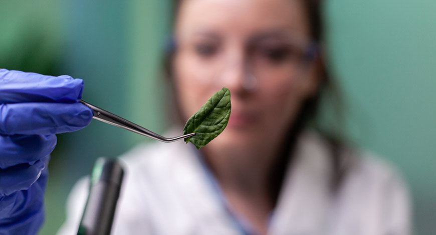 Effective Data Encryption Techniques