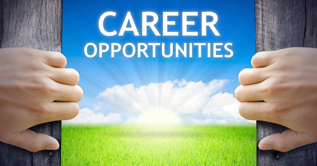 Career after Online BBA Program